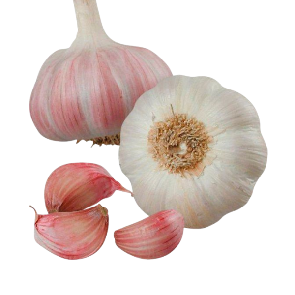 10 ail rose
